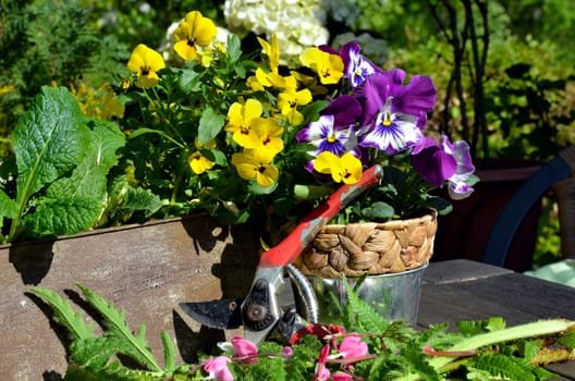Romantic Floral Garden Terrace with Decoration