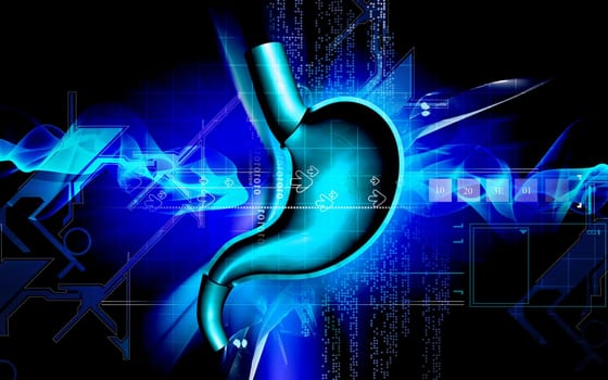 Digital illustration of stomach in colour background