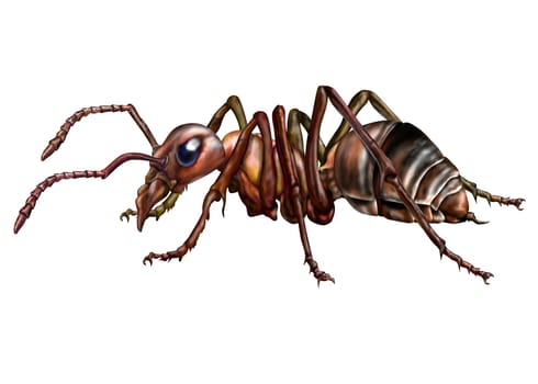 Stylized illustration of a foreboding ant isolated on white