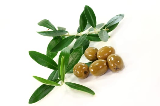Olives and olive branch against white background