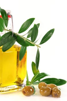 a bottle of olive oil with olive branch and olives