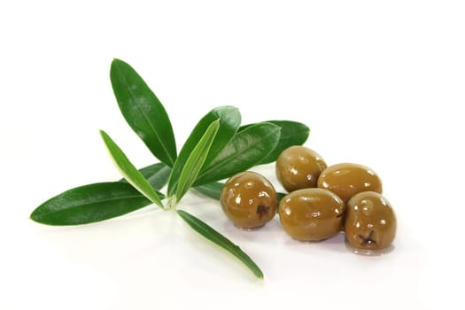 Olives and olive branch against white background