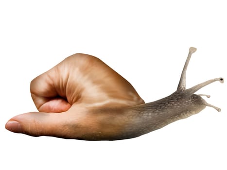 Surreal snail with a hand for a shell