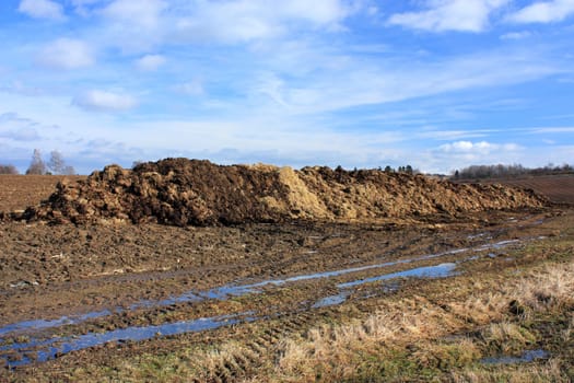 Manure farmland