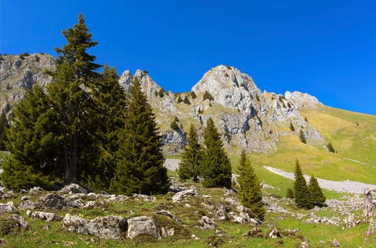 Oberstocken