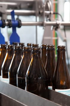 Beer bottles in a brewery