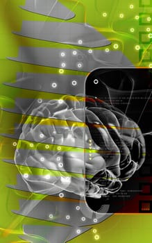 Digital illustration of brain in colour background