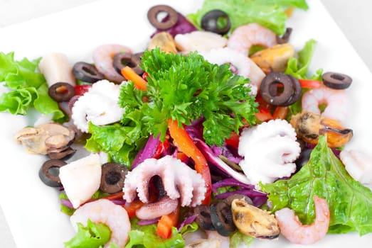 appetizer closeup of different seafood and vegetables