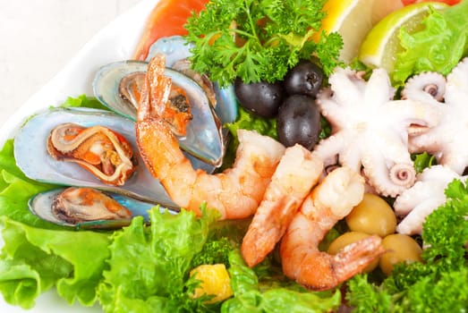 appetizer closeup of different seafood and vegetables