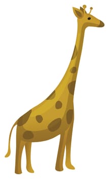 illustration drawing of giraffe isolate in a white background
