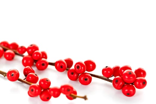 Winterberry Christmas branches with red holly berries