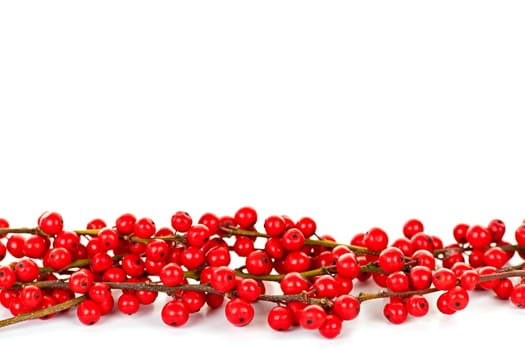 Red winterberry Christmas border with holly berries on branches
