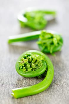 Fresh spring wild fiddleheads close up on wooden board