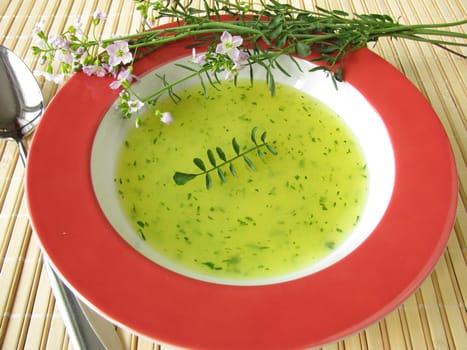 Wild herb soup with meadowfoam