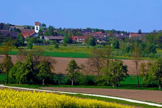 Steinmaur