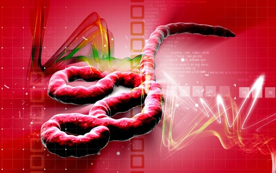 Digital illustration of Ebola virus in colour background