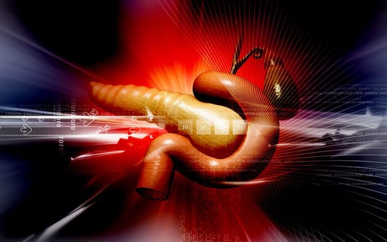 Digital illustration of pancreas in colour background