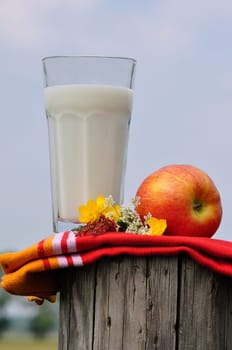 fresh milk