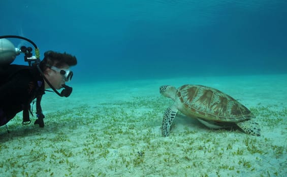 Encounter at the bottom of the sea