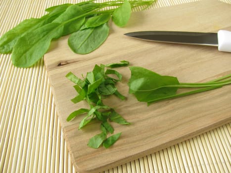 Sorrel on a wooden board