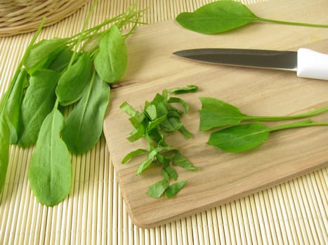 Sorrel on a wooden board