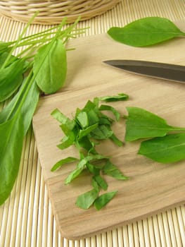 Sorrel on a wooden board