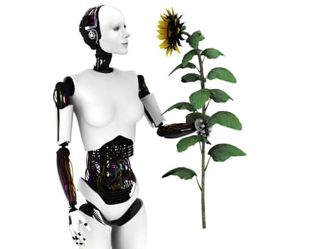 A robot woman holding a sunflower. White background.
