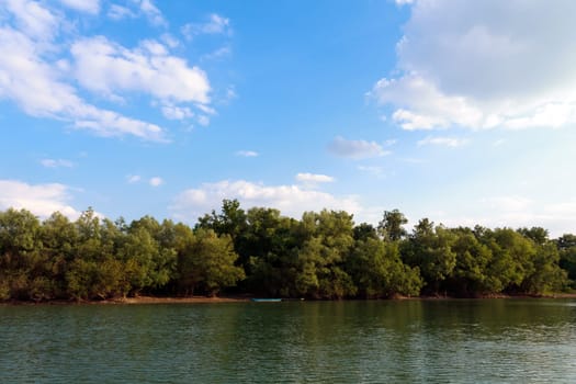river island on the Sava River,Kupinovo,Serbia