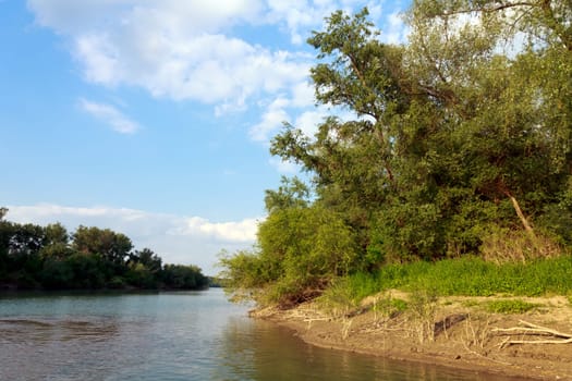 river island on the Sava River,Kupinovo,Serbia
