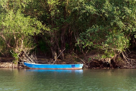 river island on the Sava River,Kupinovo,Serbia