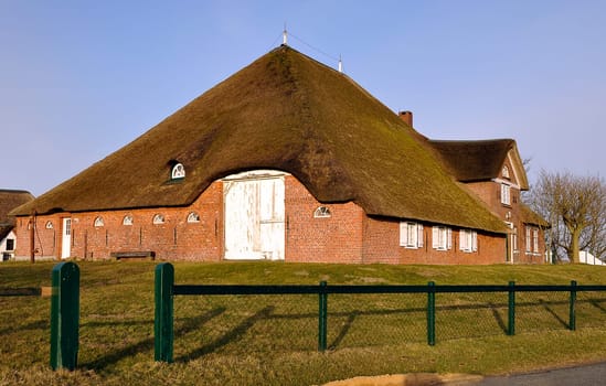 Thatched roof house
