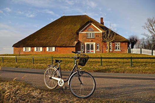 Thatched roof house
