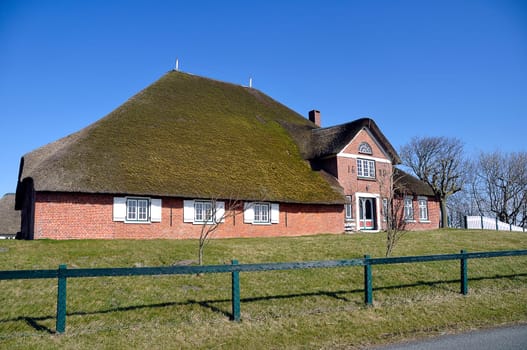 Thatched roof house