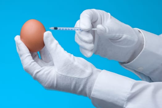 Genetic modification experiment with hen egg