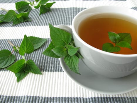 Tea with honeydew melon sage