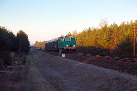 Passenger train hauled by the diesel locomotive passing the forest