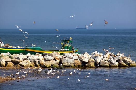 Summer landscape on the sunny beach