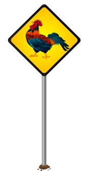 Attention proud rooster, stylized road sign, isolated object over white background