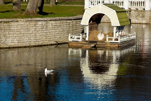 Ornate Swan house and nest in the ornamental pond in Kadriorg gardens by the palace in Tallinn Estonia