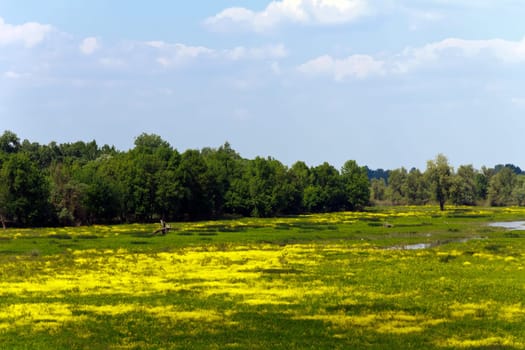 Ried,and nature reserve,Obeda