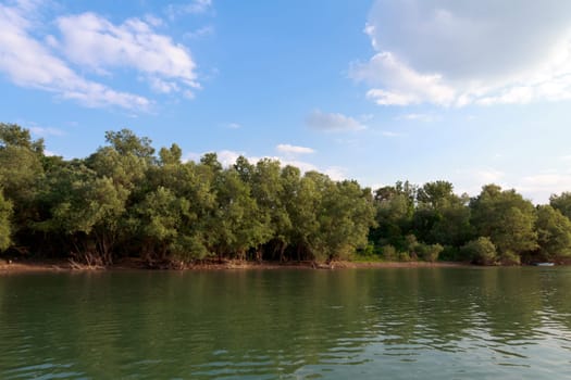 river island on the Sava River,Serbia