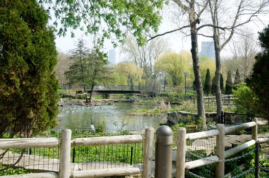Lincoln Park in Chicago