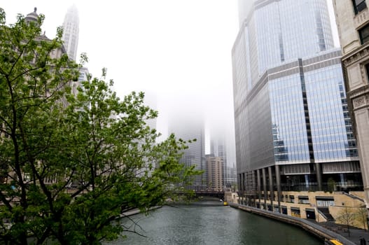Chicago on Foggy Morning