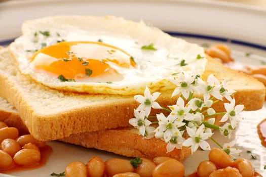 Fried on toast with garlic chive flowers and baked beans.