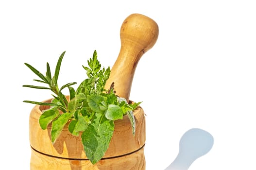 Mortar with herbs