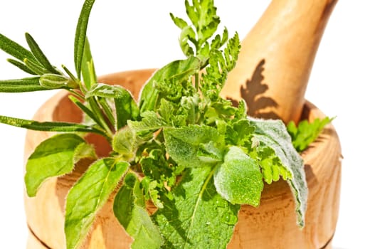 Mortar with herbs