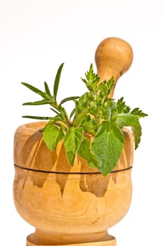 Mortar with herbs