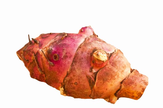 Retro Vegetable Jerusalem Artichoke