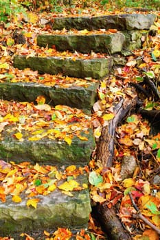 Fall foliage along a curved stone staircase