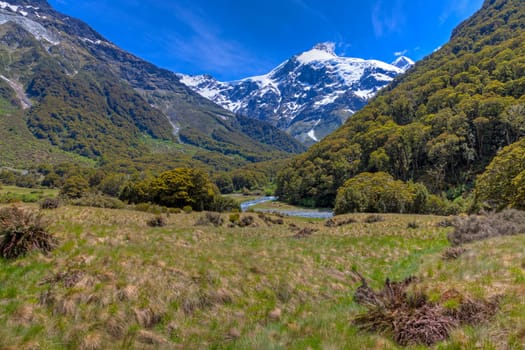 The upper Wilkin river valley on the south island of New Zealand